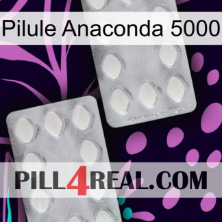 Anaconda 5000 Pill 17